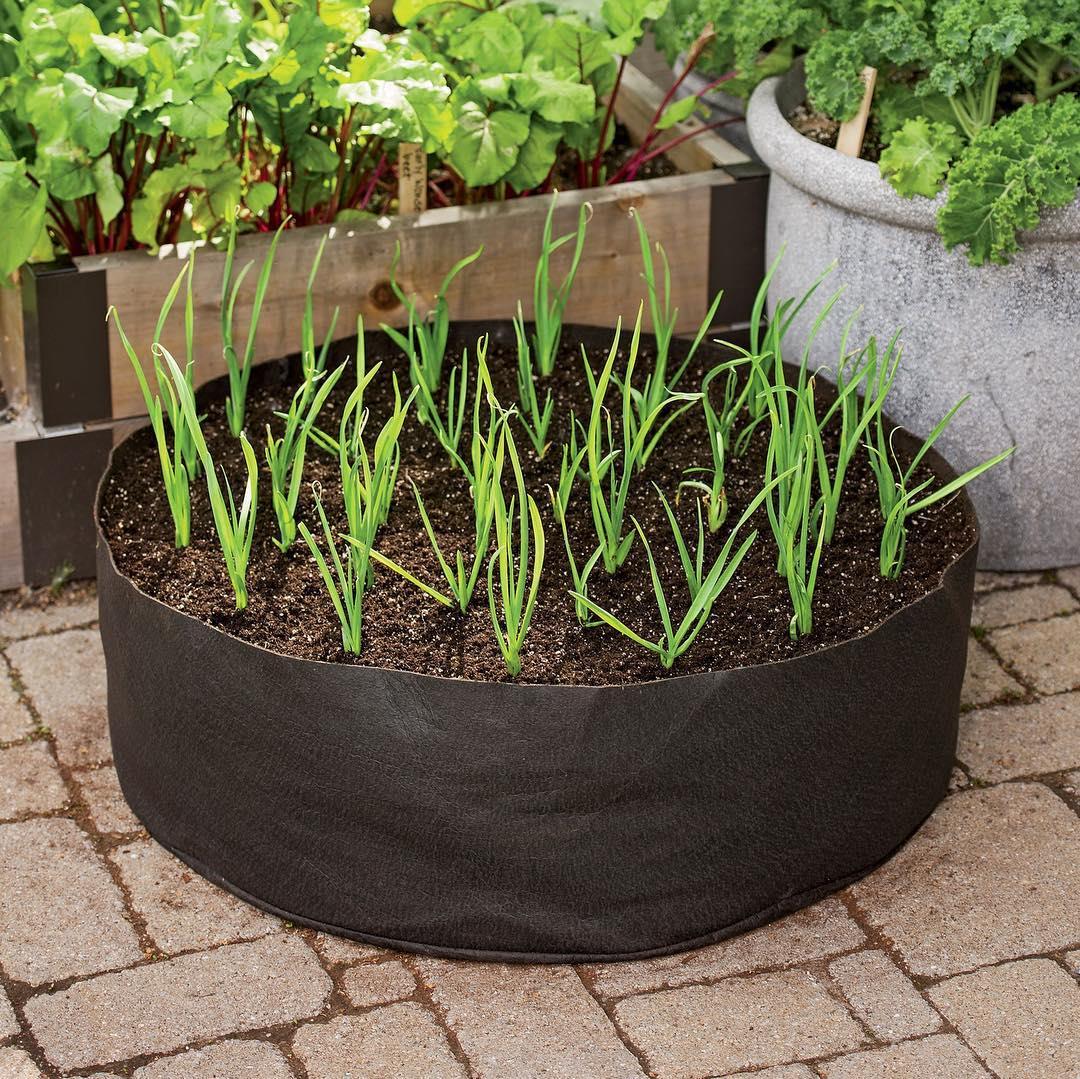 guiahortaorganica_43984317_2138798113047411_142029119025827687_n