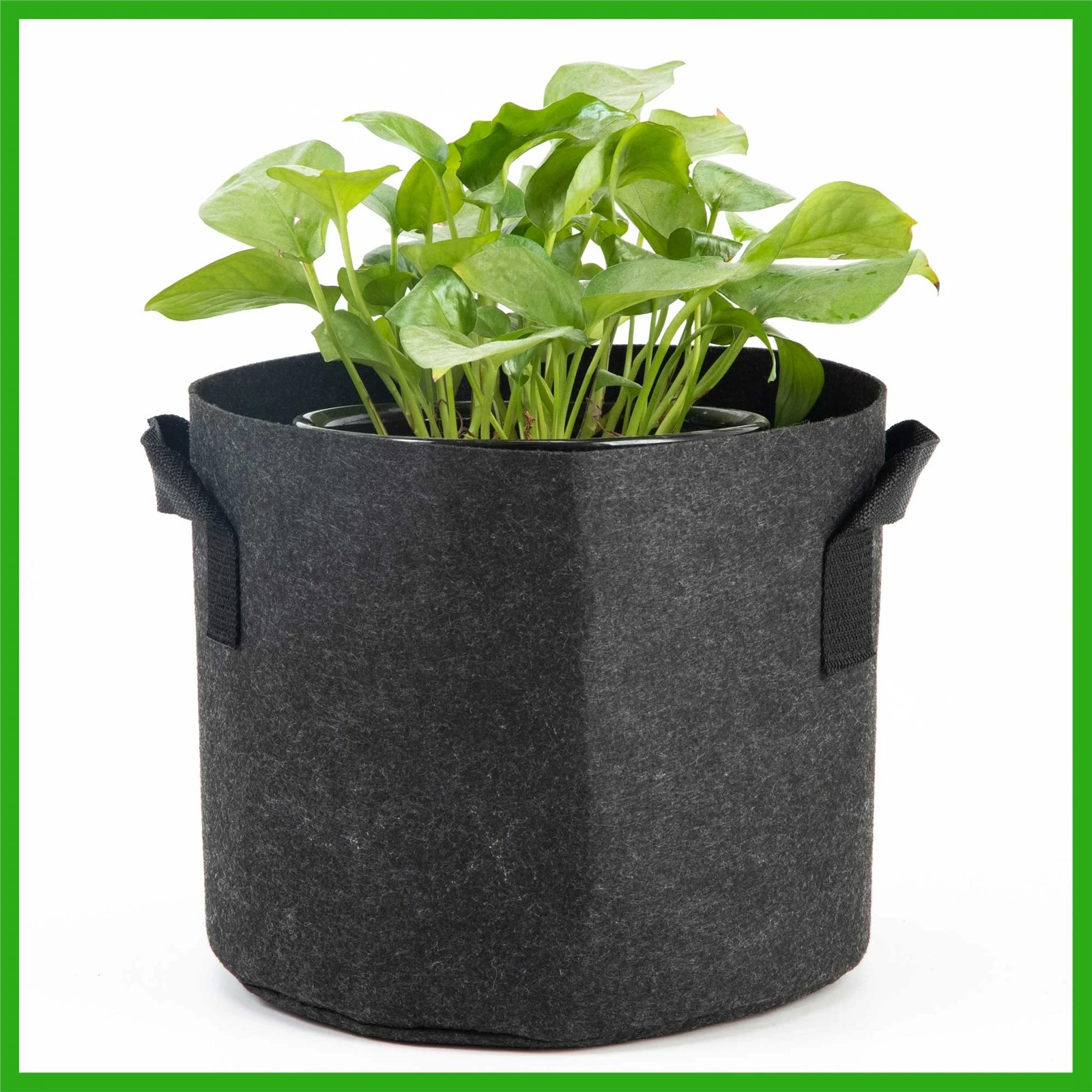 5gallon fabric plant grow bag1 5gallon fabric plant grow bag1