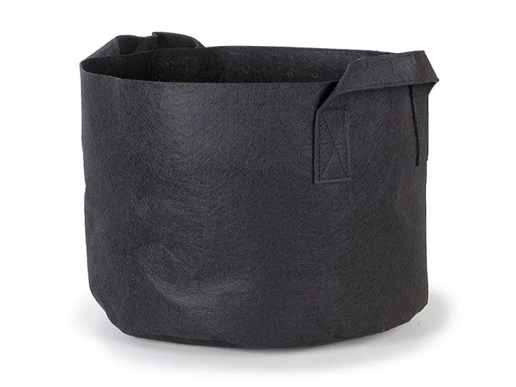 60gallon buleberry felt grow pots