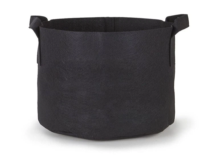 60gallon buleberry felt grow pots