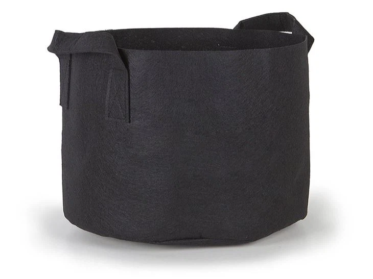 60 gallon Buleberry Planter Grow Pots with handle