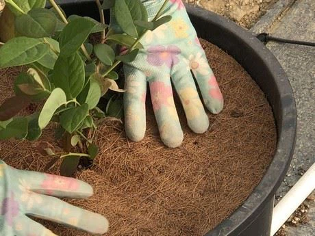 Natural Coconut Coir Mulch Mat/ Weed Control Discs