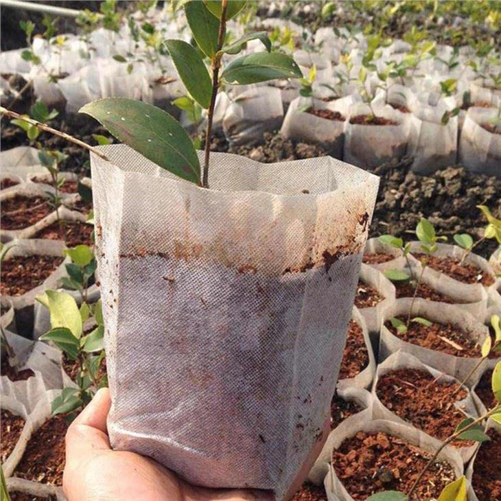Non-woven Seed-Raising Grow Bag