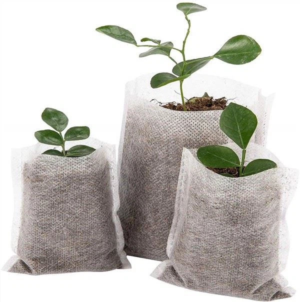 Non-woven Seed-Raising Grow Bag