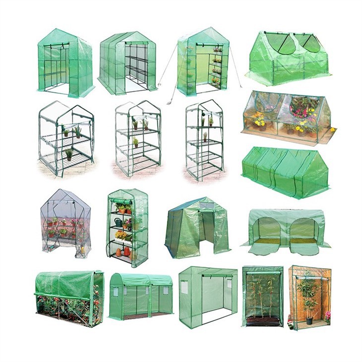 Mini Tomato Greenhouse & Others