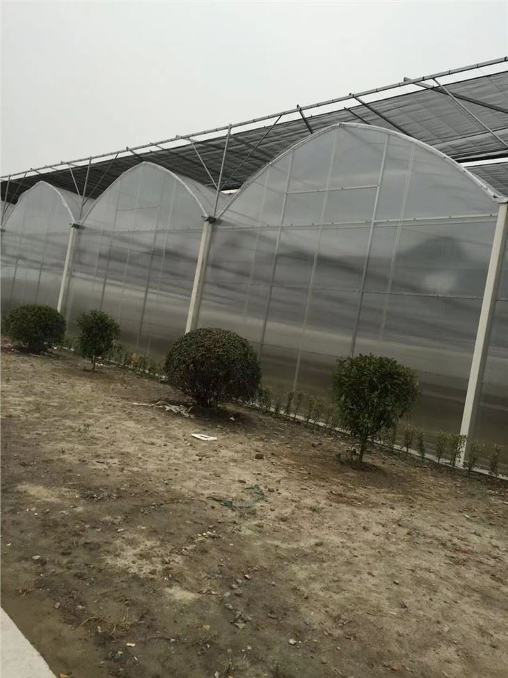 PC Sheet Greenhouses