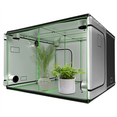 8x8 Grow Tent